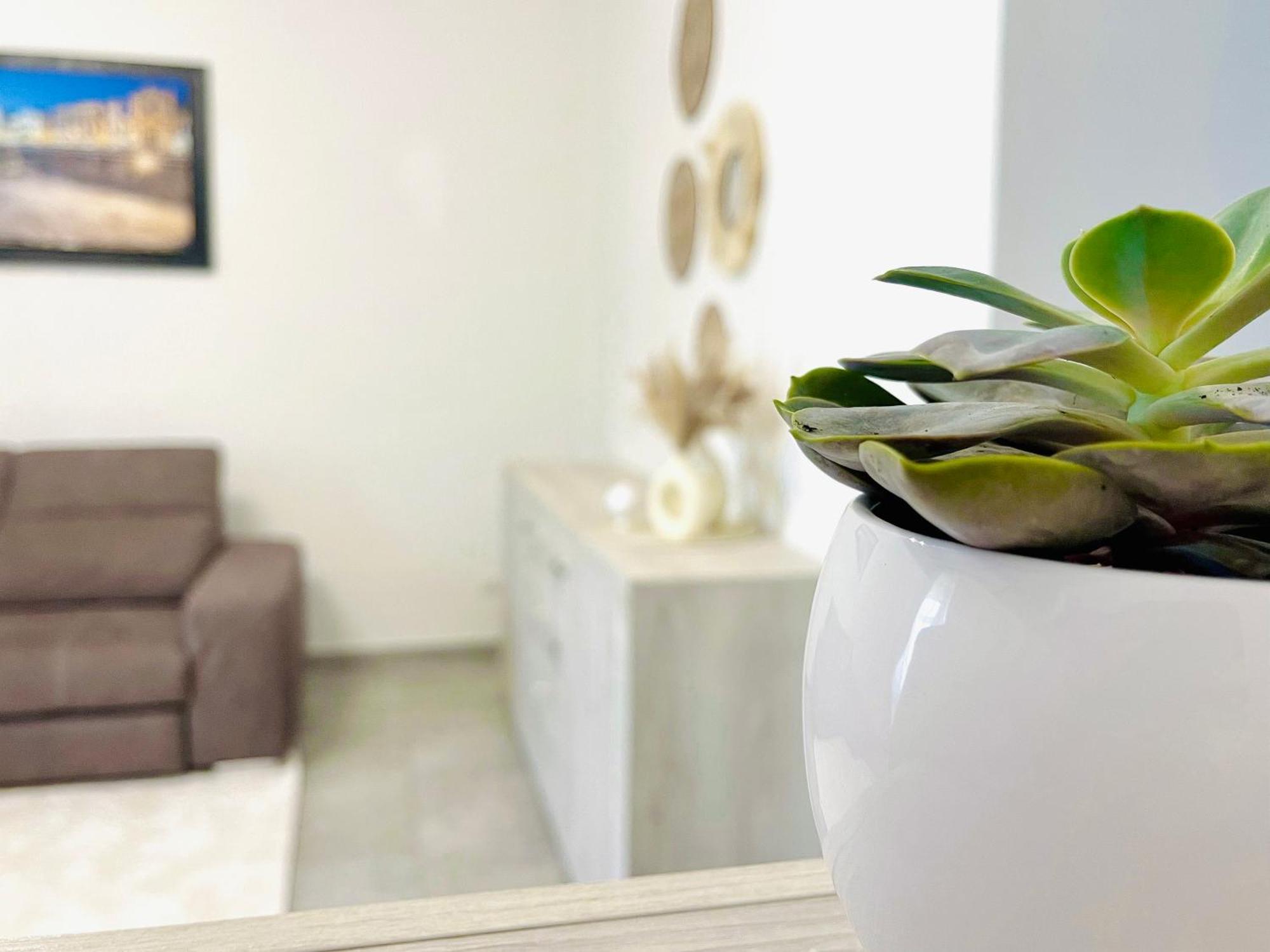 All'Apulia N'23 - Apartment With Parking 莱切 外观 照片